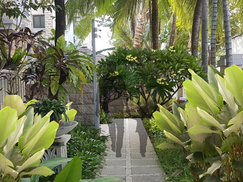 landscape services
