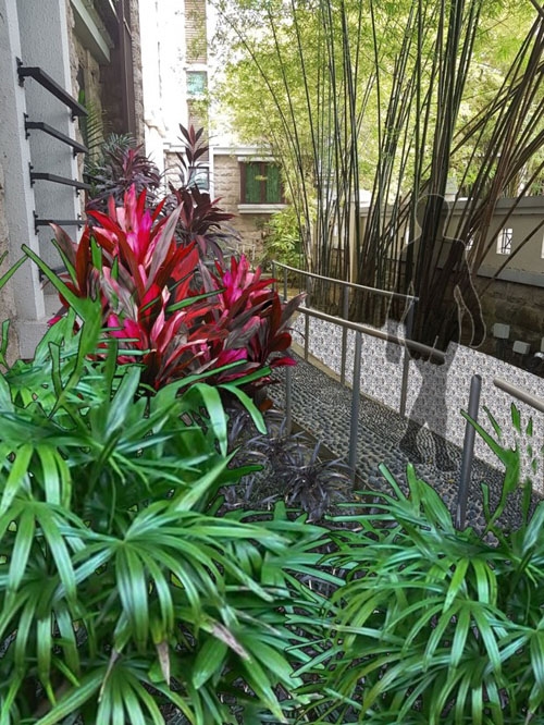 landscape services