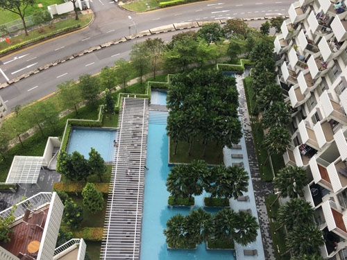 landscape services