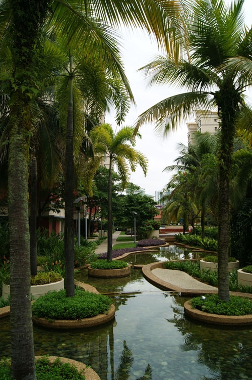 landscape services