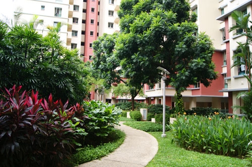 landscape services