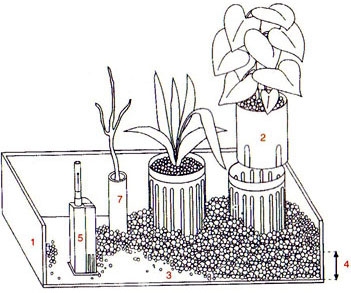 Hydroculture