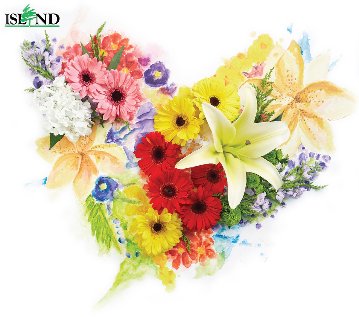 fresh flowers